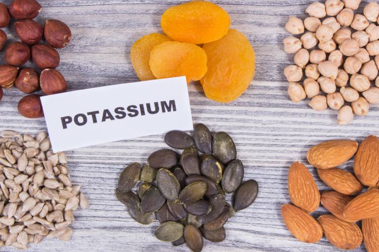 Potassium and thought